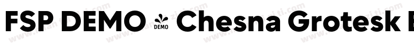 FSP DEMO - Chesna Grotesk Bold字体转换